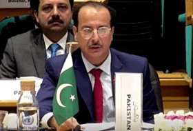 部长告诉世界卫生组织论坛-巴基斯坦- DAWN.COM，努力加强卫生系统